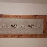 Il Canto Del Bosco Valpelline