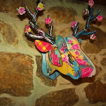 Il Canto Del Bosco *